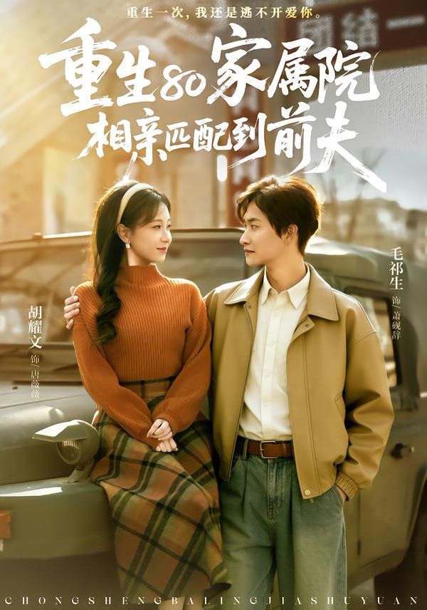重生80家属院，相亲匹配到前夫海报