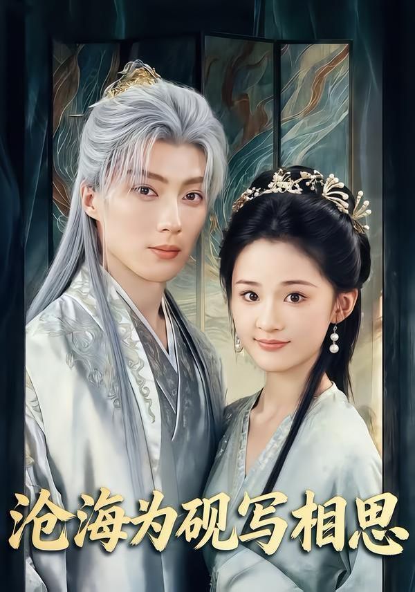 沧海为砚写相思海报