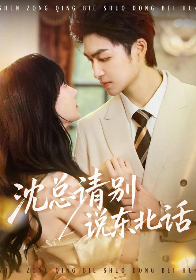 沈总请别说东北话海报