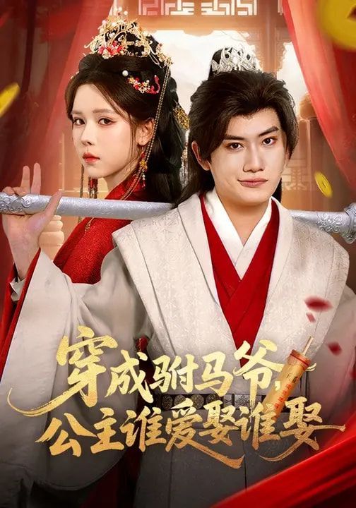 穿成驸马爷，公主谁爱娶谁娶海报