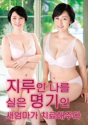 继母的特殊疗法海报