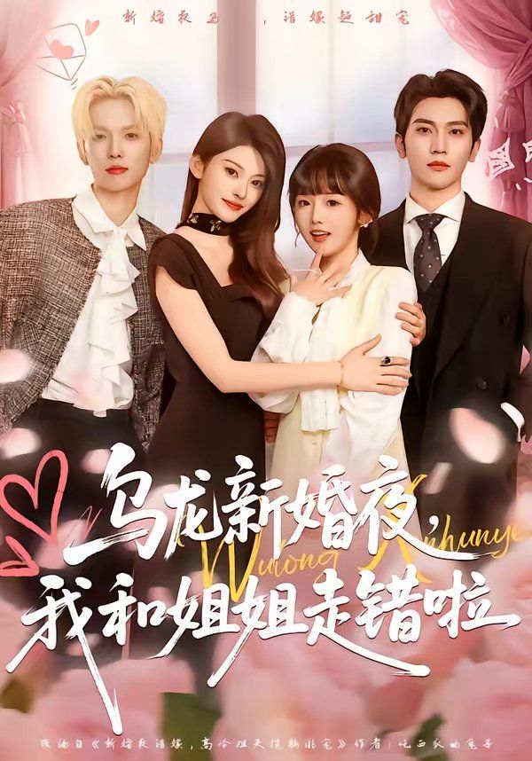 乌龙新婚夜，我和姐姐走错啦海报