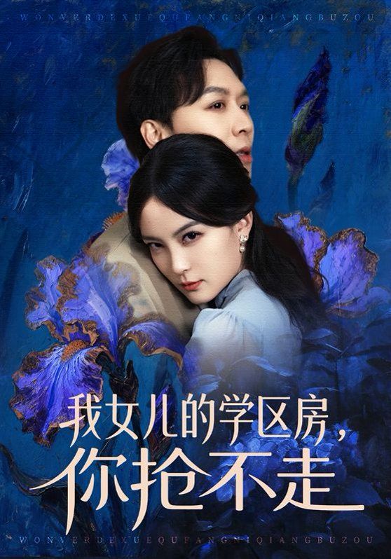 我女儿的学区房，你抢不走海报