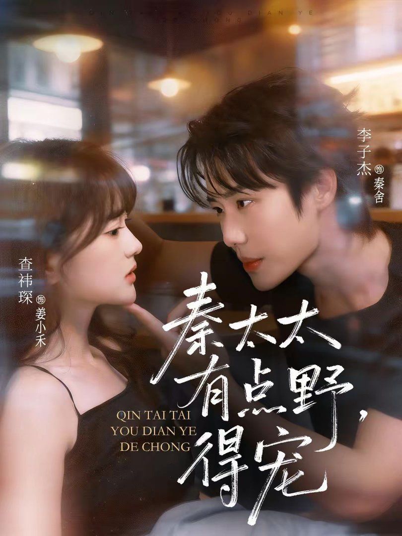 秦太太有点野，得宠海报