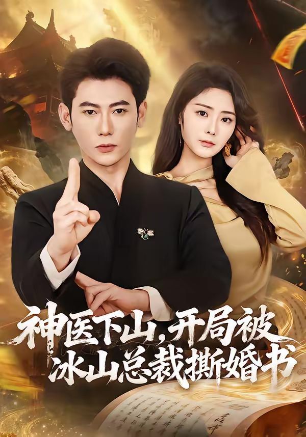 神医下山，开局被冰山总裁撕婚书海报
