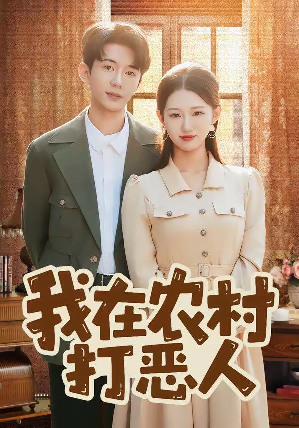 我在农村打恶人海报