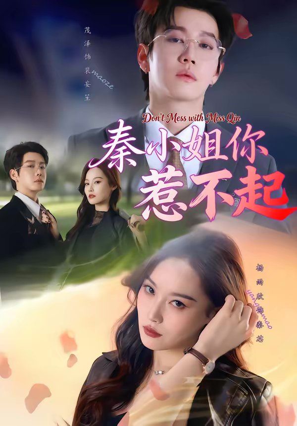 秦小姐你惹不起海报