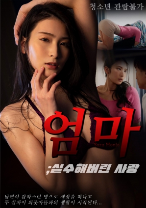 母亲的错爱海报