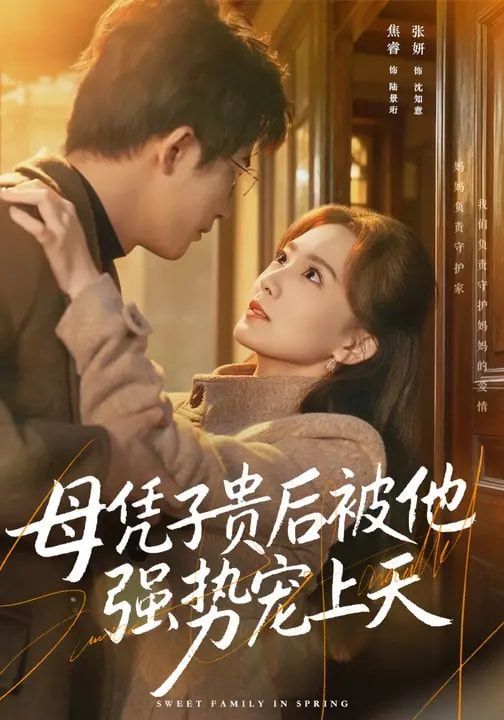 母凭子贵后被他强势宠上天海报