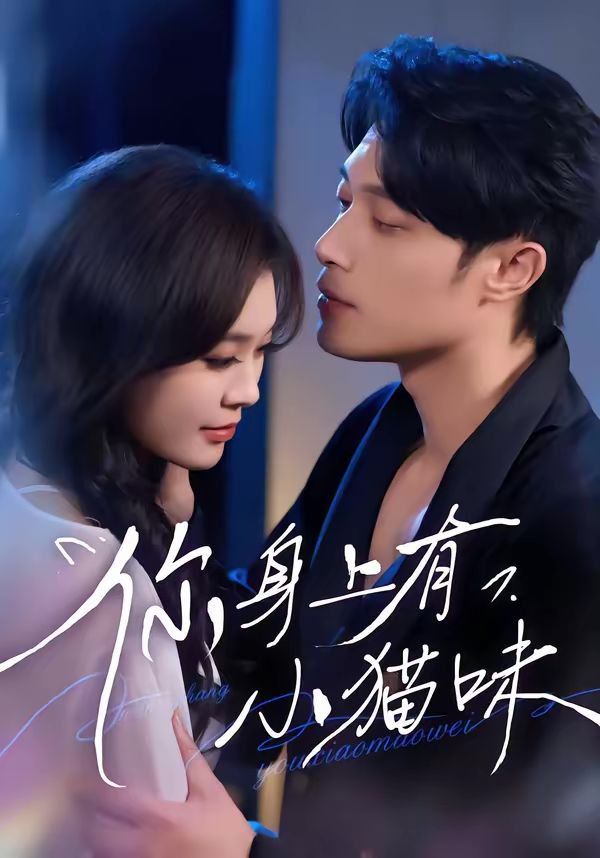 你身上有小猫味海报