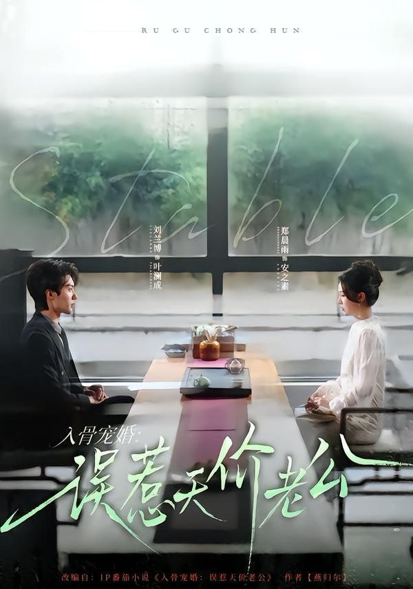 入骨宠婚：误惹天价老公海报