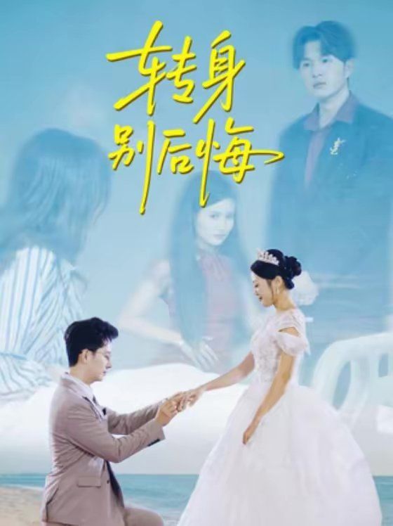 转身别后悔海报