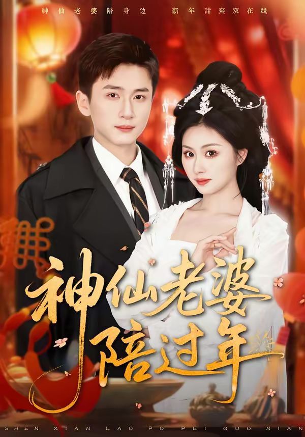 神仙老婆陪过年海报