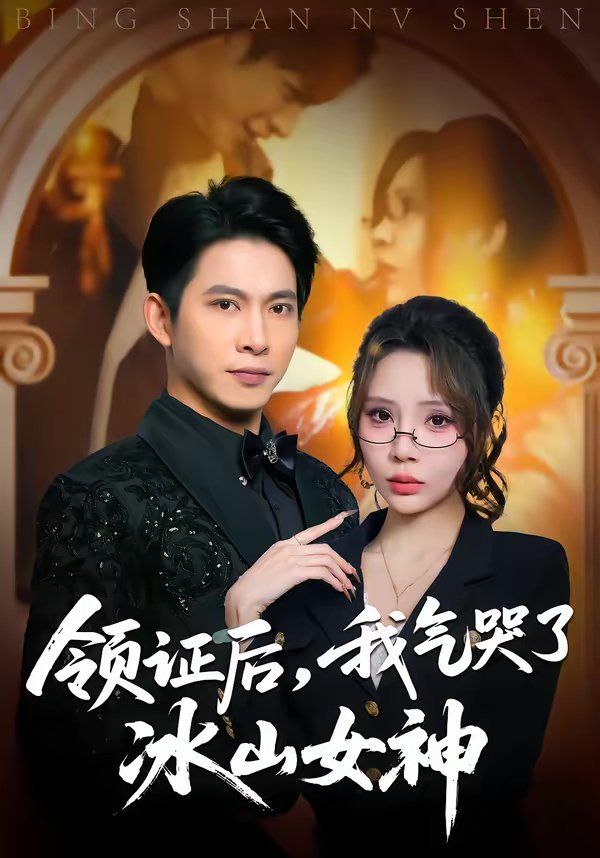 领证后，我气哭了冰山女神海报