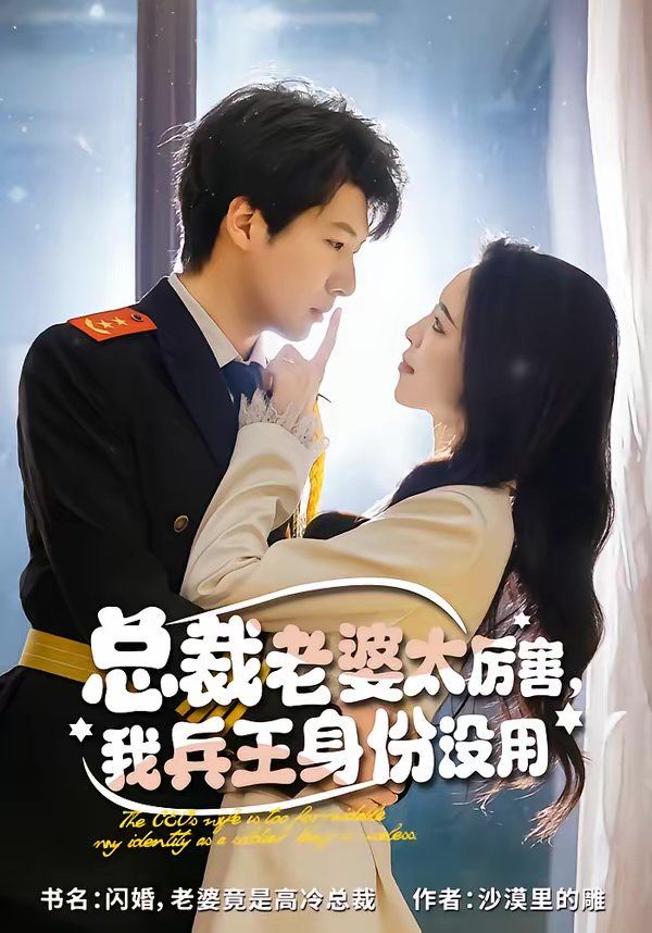 总裁老婆太厉害,我兵王身份没用海报