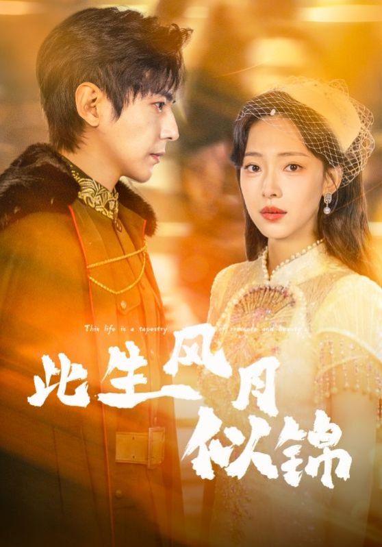 此生风月似锦海报