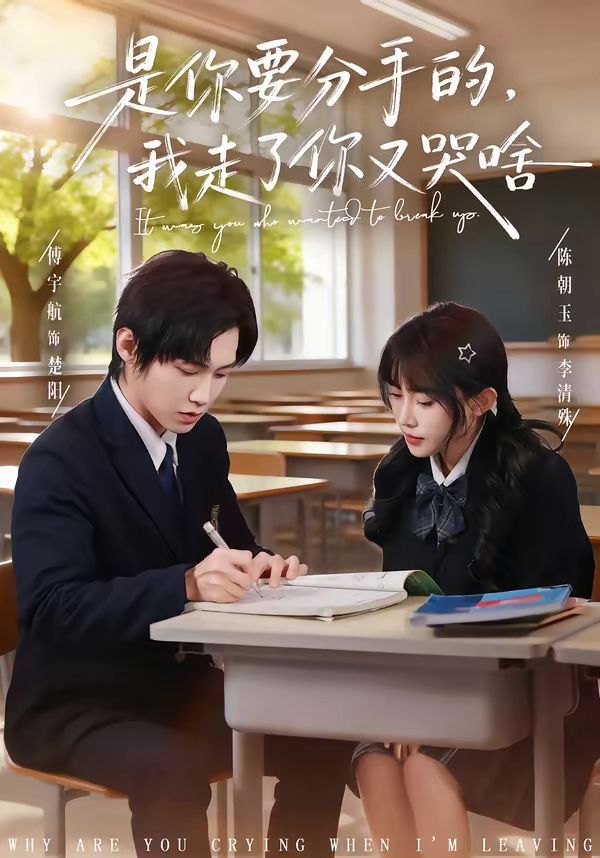 是你要分手的，我走了你又哭啥海报