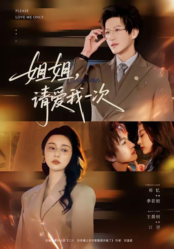 姐姐，请爱我一次海报