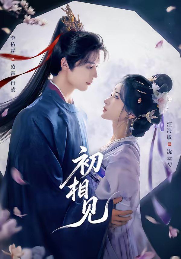 初相见海报
