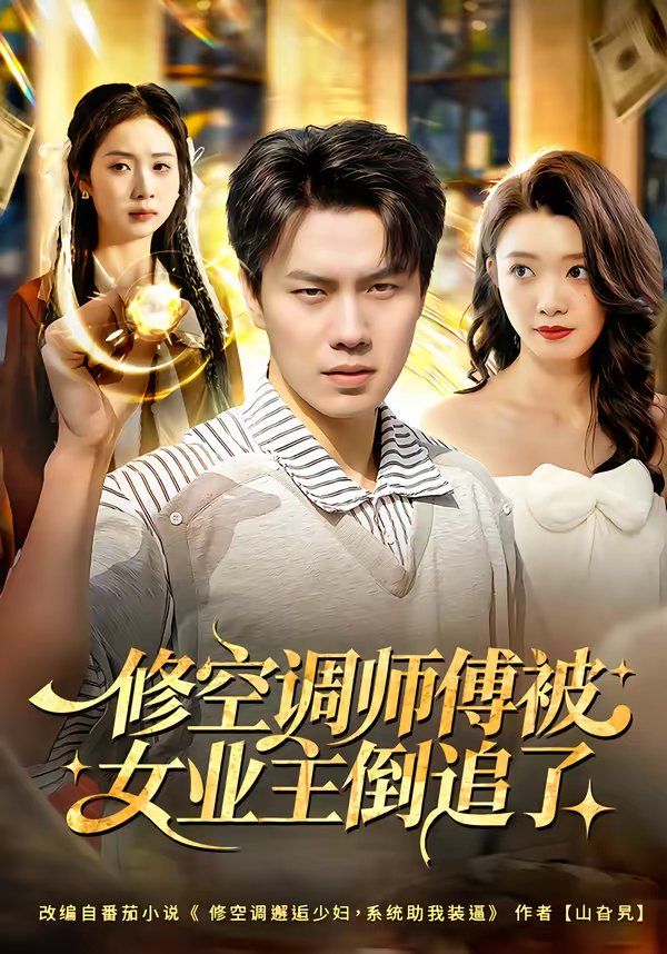 修空调师傅被女业主倒追了海报