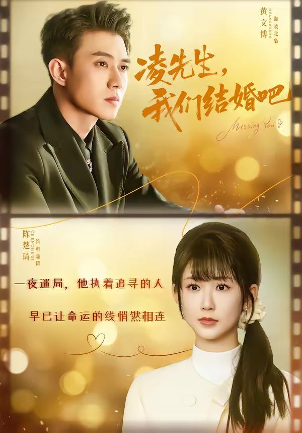 凌先生，我们结婚吧海报