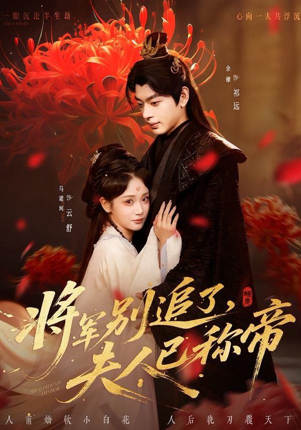 将军别追了，夫人已称帝海报