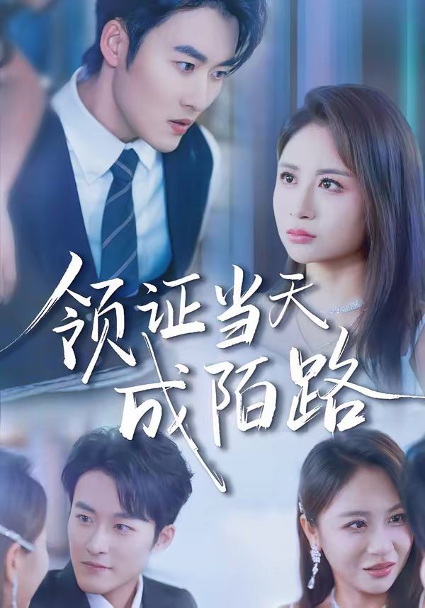 领证当天成陌路海报