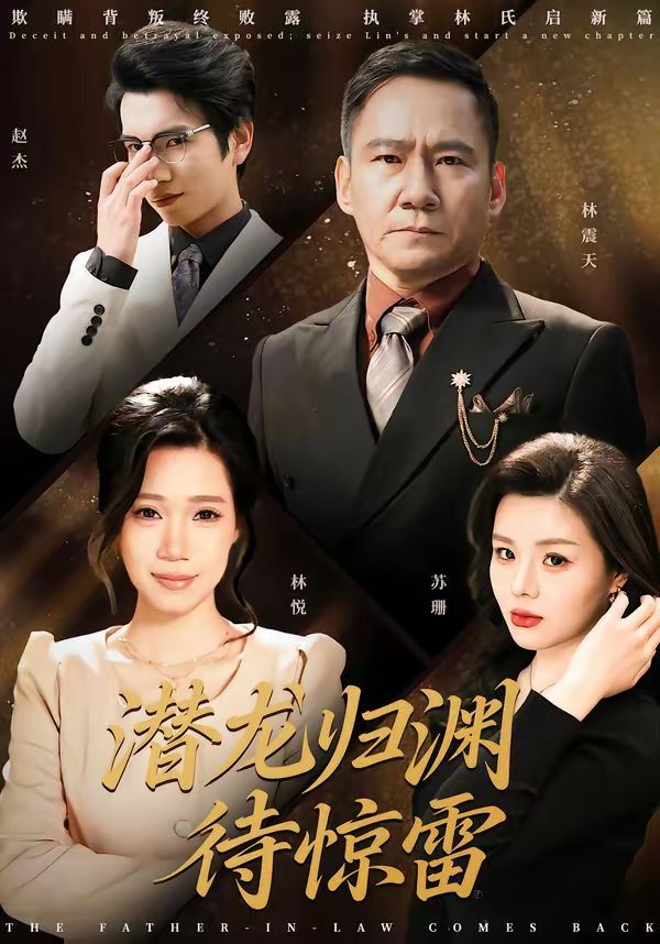 潜龙归渊待惊雷海报