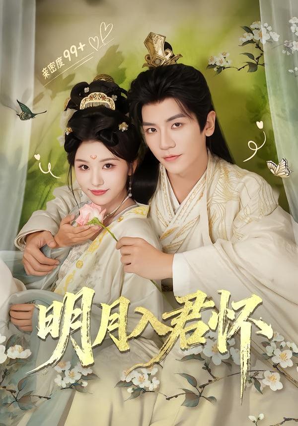 明月入君怀海报