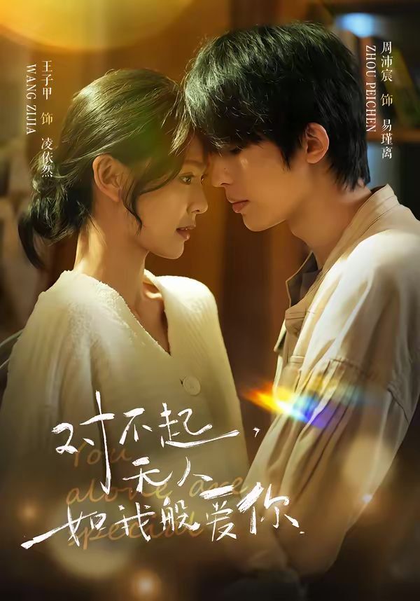 对不起，无人如我般爱你海报