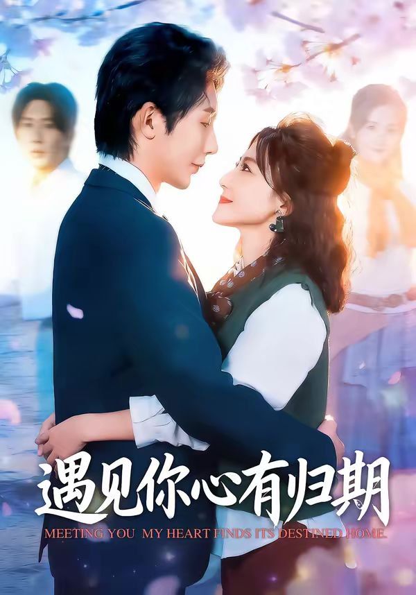 遇见你心有归期海报