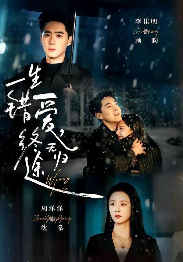 一生错爱，终无归海报