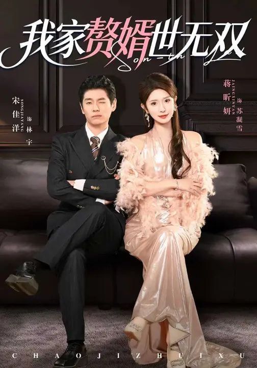 我家赘婿世无双海报