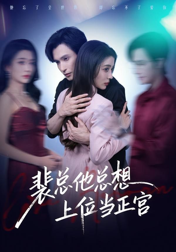裴总他总上位当正宫海报