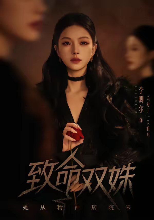 致命双姝：她从精神病院来海报