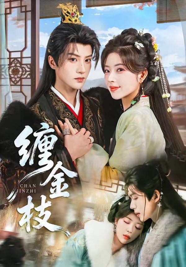 缠金枝海报