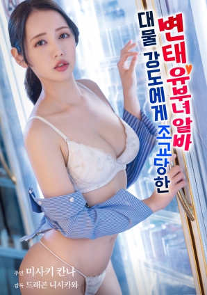 被巨物强盗调教的变态人妻兼职女海报