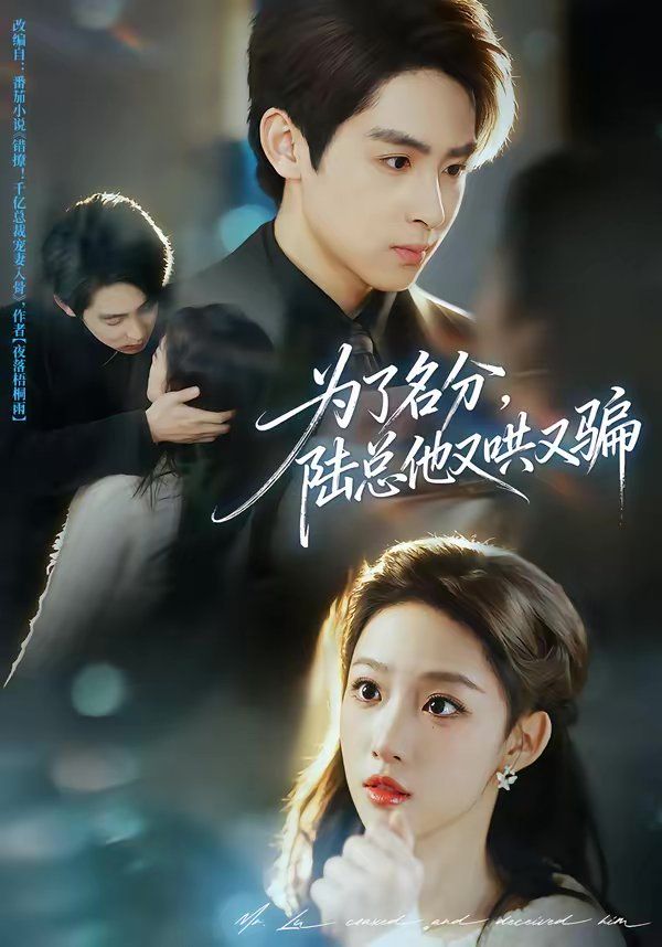 为了名分，陆总他又哄又骗海报