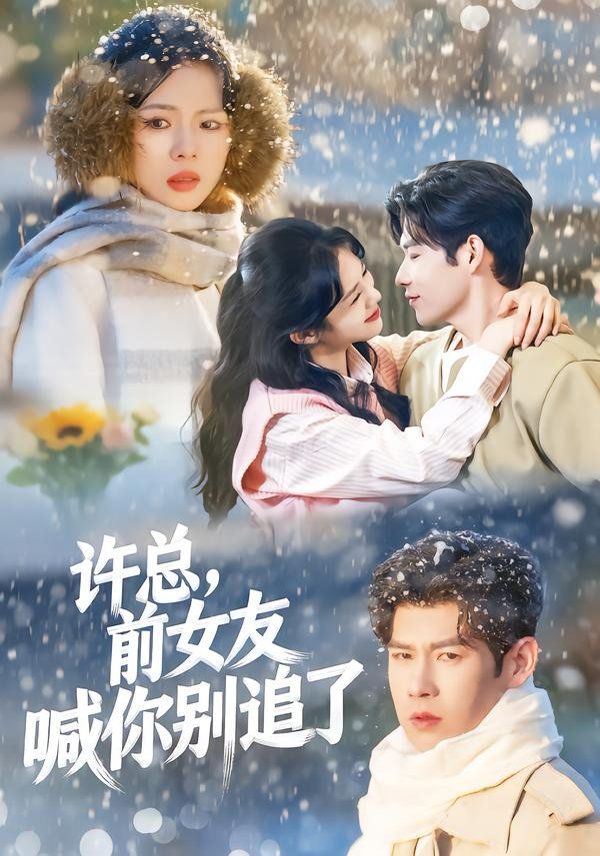 许总，前女友喊你别追了海报