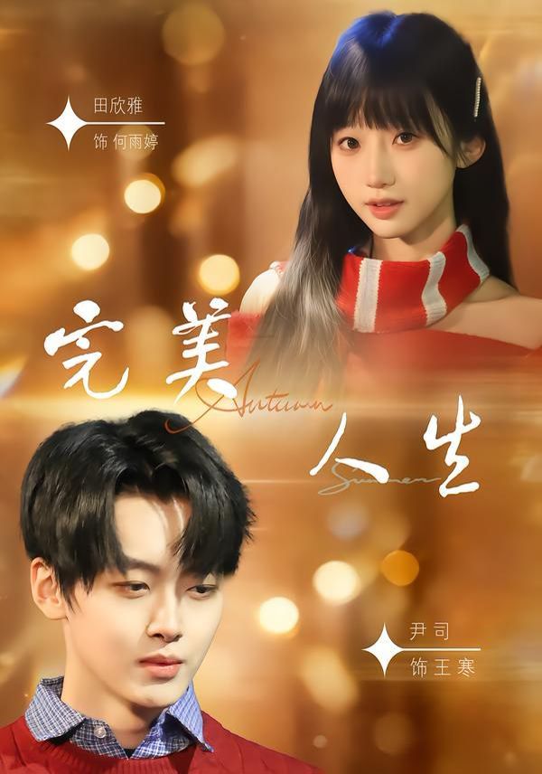 完美人生（2026）海报