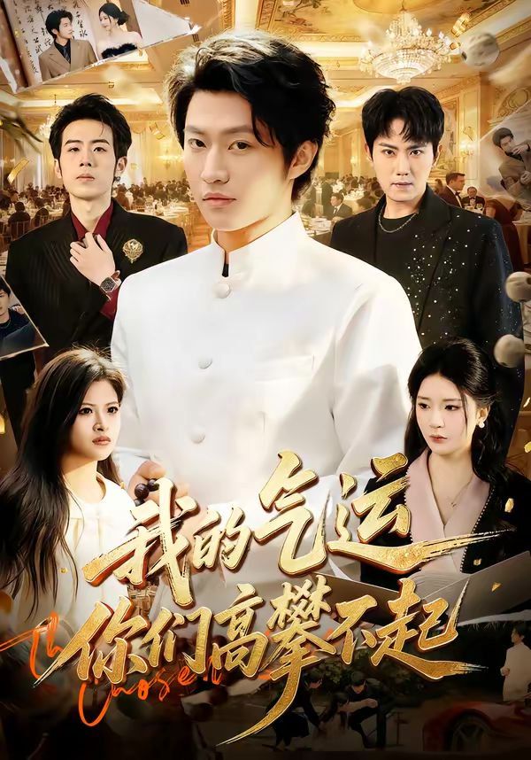 我的气运，你们高攀不起海报