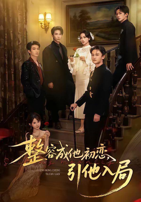 整容成他初恋，引他入局海报