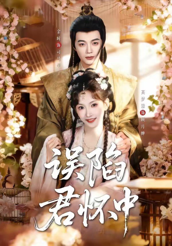 误陷君怀中海报