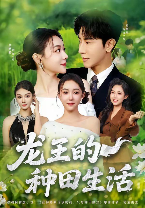 龙王的种田生活海报
