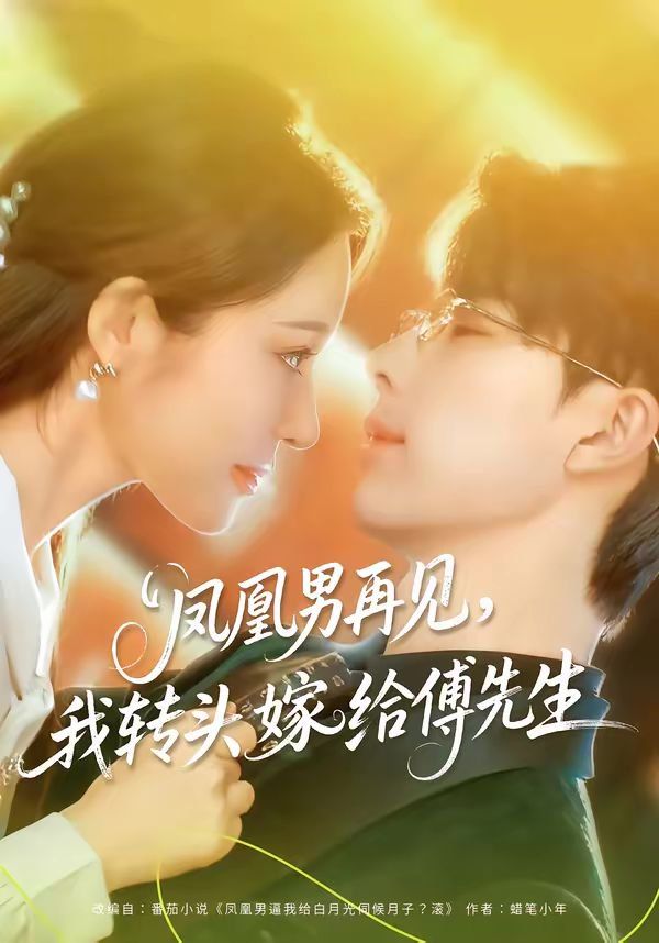 凤凰男再见，我转头嫁给傅先生海报
