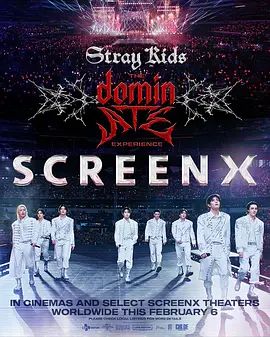 Stray Kids：主宰一切的体验海报