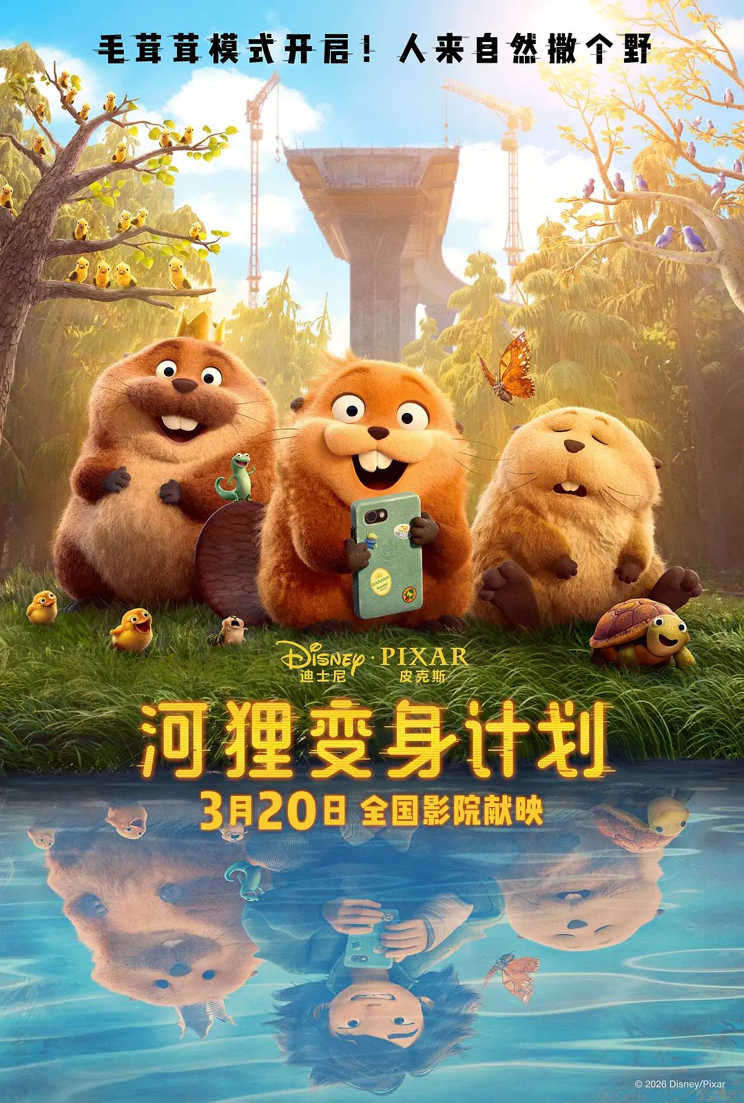 河狸变身计划（普通话版）海报