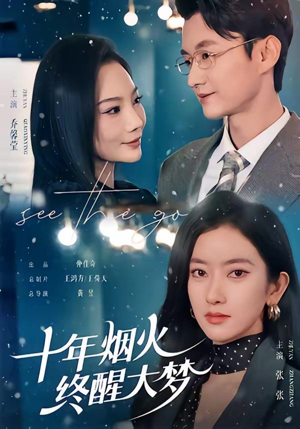 十年烟火，终醒大梦海报