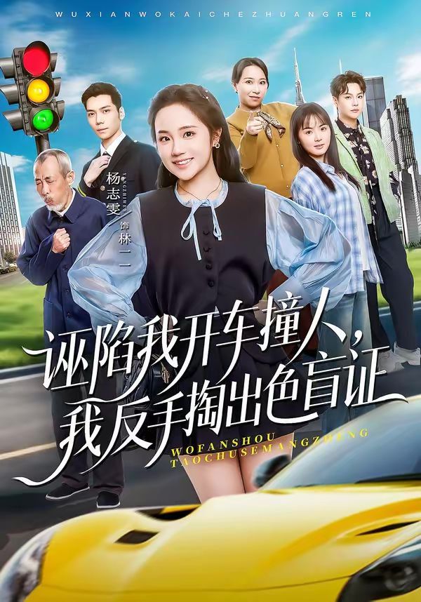 诬陷我开车撞人，我反手掏出色盲海报