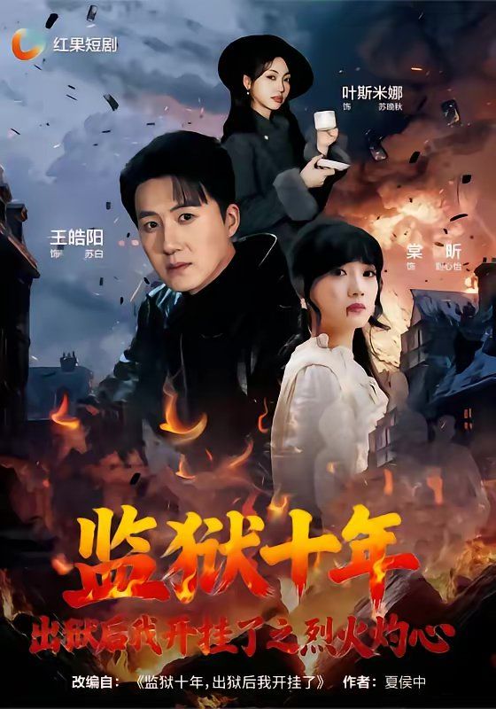 监狱十年，出狱后我开挂了之烈火灼心海报
